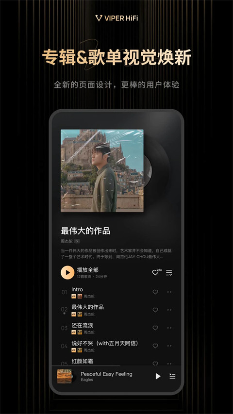 viperhifi音乐播放器免费版图2