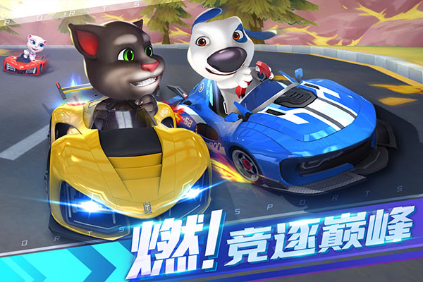 汤姆猫飞车999999(1)