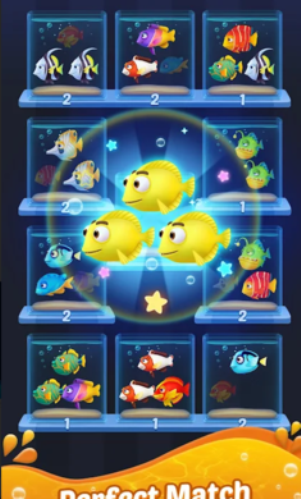 鱼类分类终极3D水族馆图2