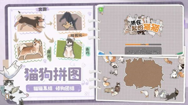 挤在一起的猫猫2026通用版图2