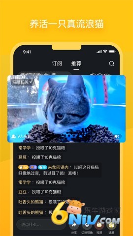 哈啰街猫