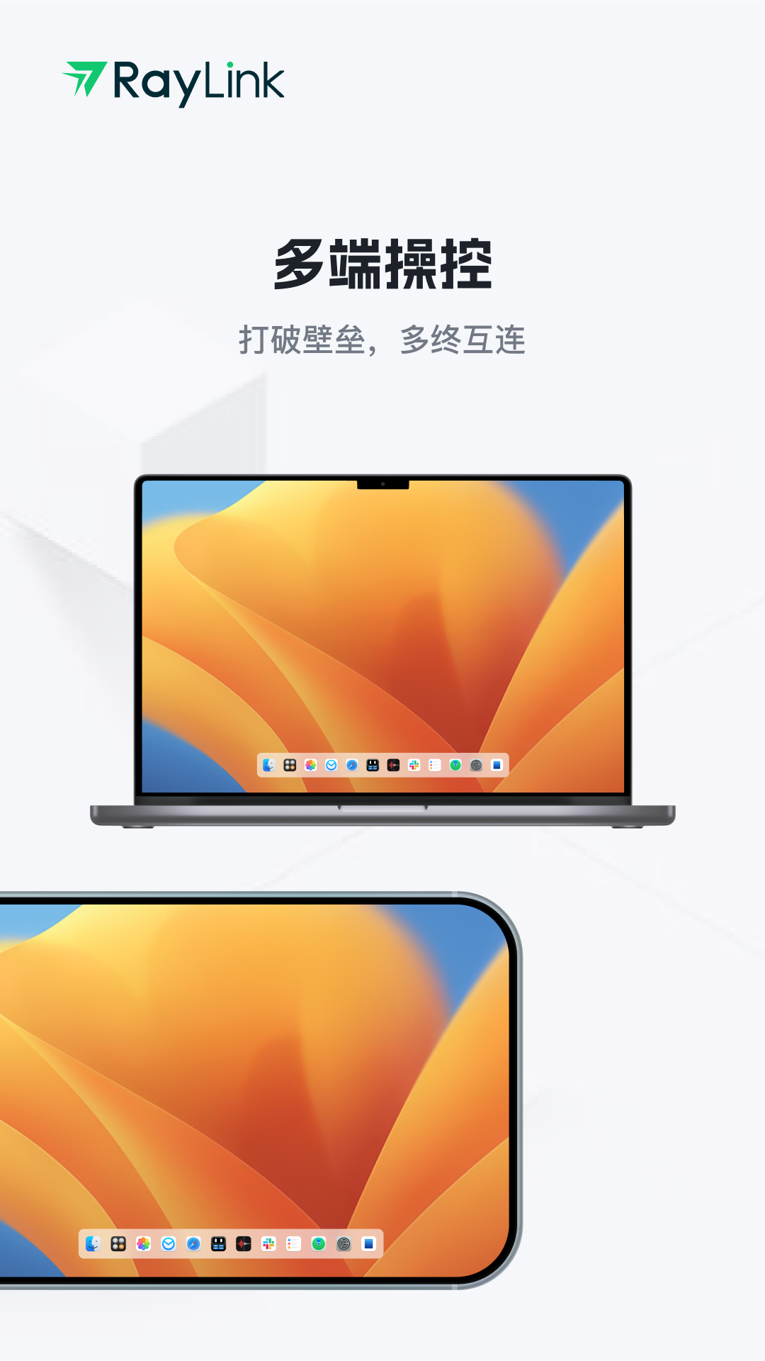 RayLink远程控制安装 图2