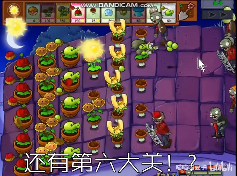 植物大战僵尸抽卡版图2