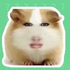 猪妞语音盒