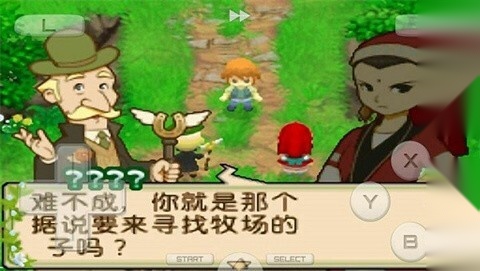 牧场物语双子村汉化版图2