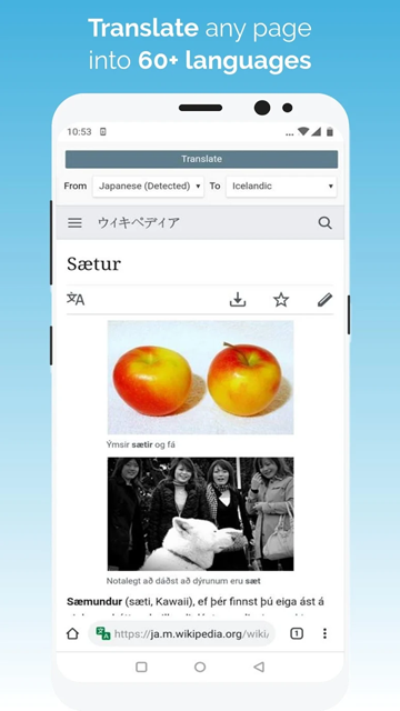 kiwi手机浏览器