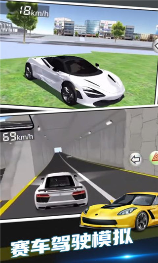 3d驾驶课2手机版图5