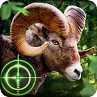 wild hunter游戏