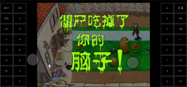 植物大战僵尸随机模仿者中文版(1)