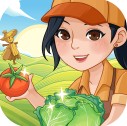 村头菜市场