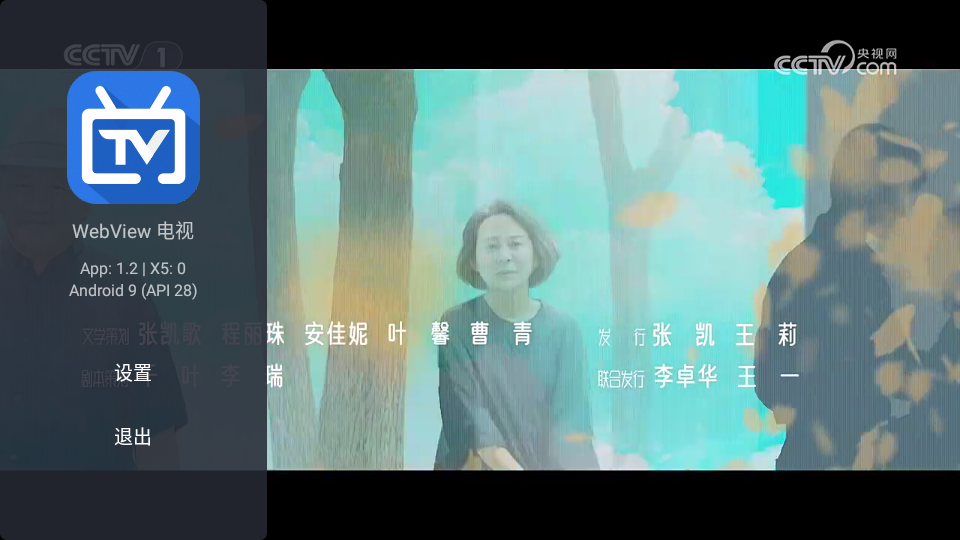 WebView电视安卓直装版图3