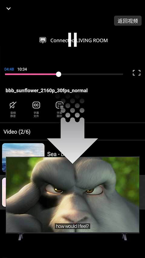 fxplayer截图2