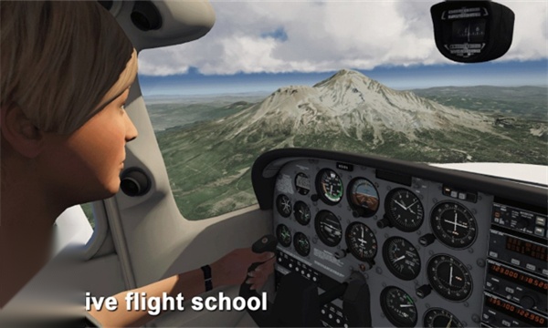 aerofly fs global安卓版截图2