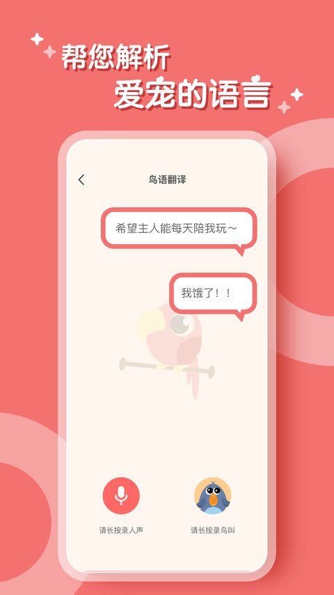 鹦鹉翻译器图3