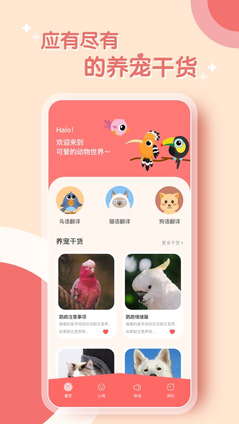 鹦鹉翻译器图2