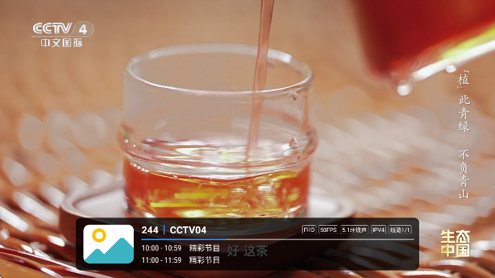 全频播tv电视版截图4
