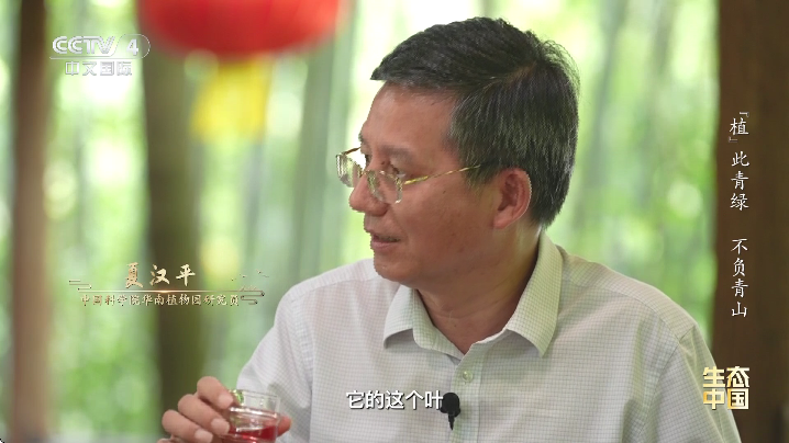 全频播tv电视版截图2