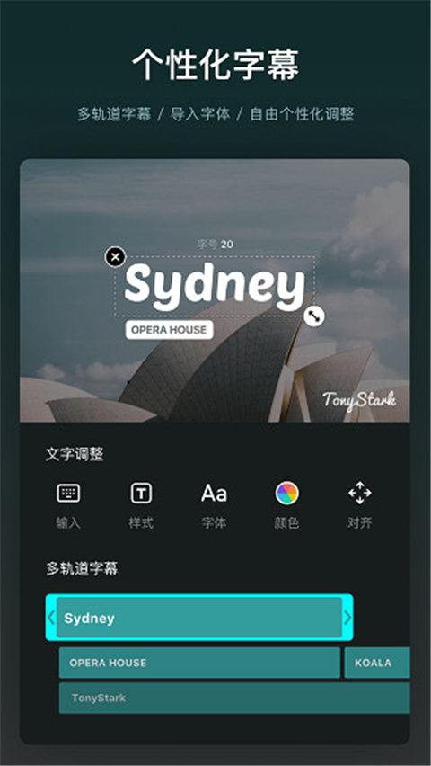 VN视迹簿(2)