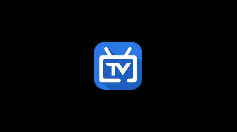 webviewtv电视软件截图2
