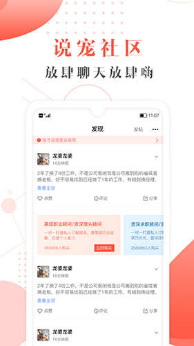 宠才宝(3)