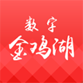 数字金鸡湖软件