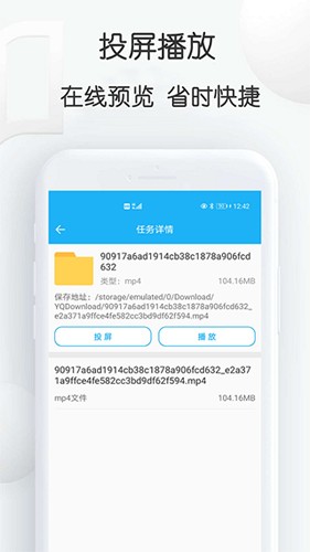 云雀idm网页视频器