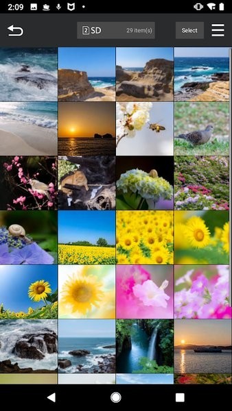 LUMIX Sync最新版图4