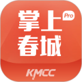 掌上春城