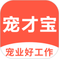 宠才宝