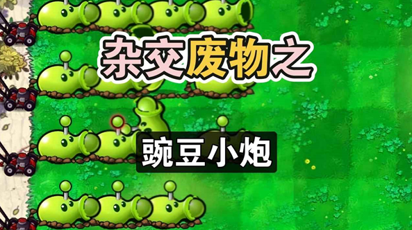 废物大战僵尸安装最新版5