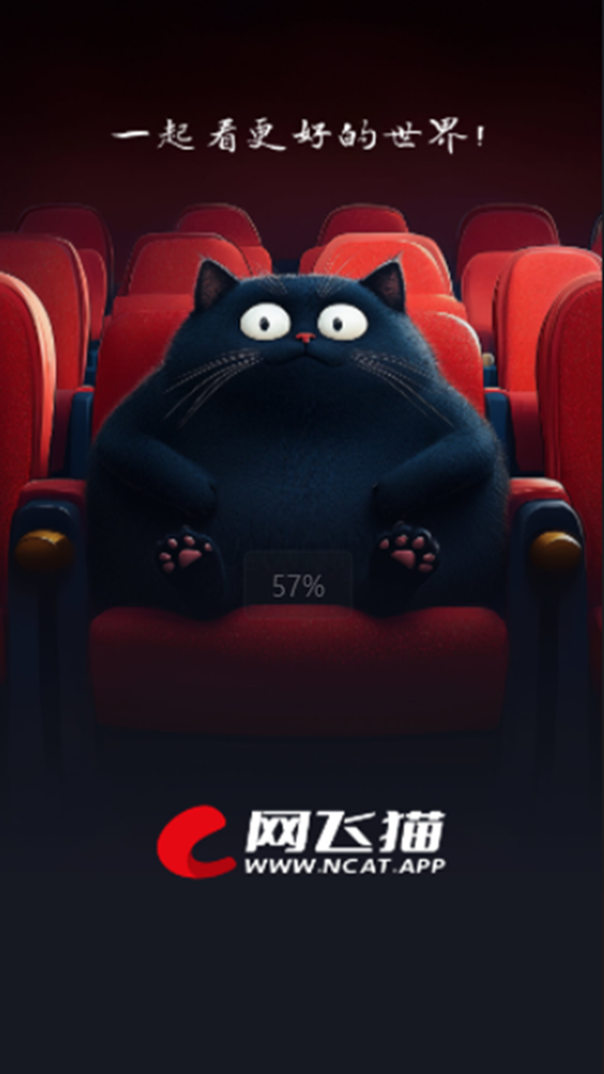 网飞猫(4)