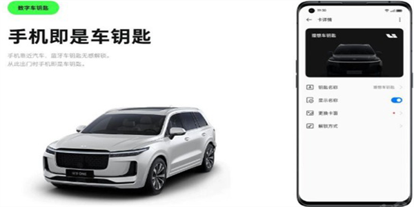 iccoacarlink小米版(2)