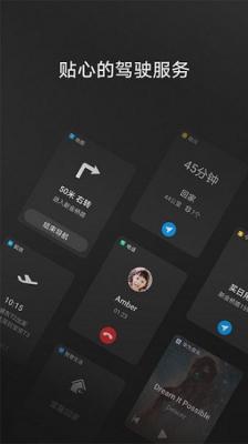 hicar车机版截图1