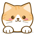 橘猫4k安卓版 V3.1.0