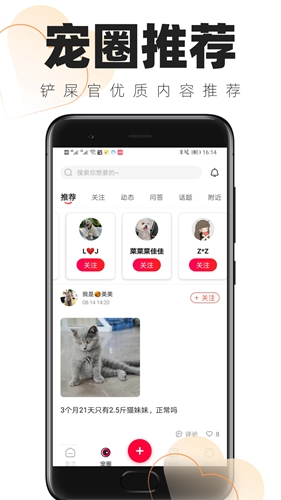 铲屎官的日常截图1