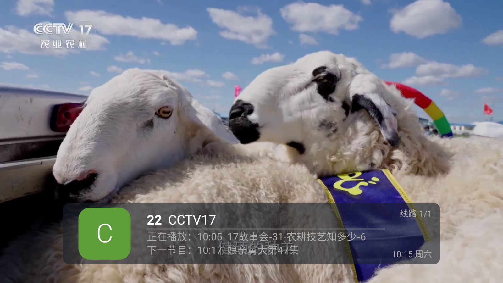 蚂蚁直播tv版(1)