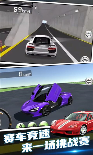 3d驾驶课2手机版图1