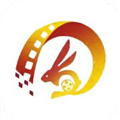 小芥兰影视安卓官方版