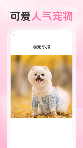 爱炫相机 .2(1)
