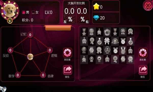 最强大脑正版图3