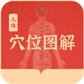 人体穴位图解安卓版