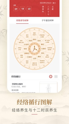 人体穴位图解安卓版图3