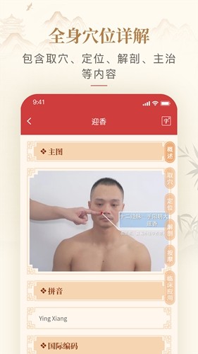 人体穴位图解安卓版图4