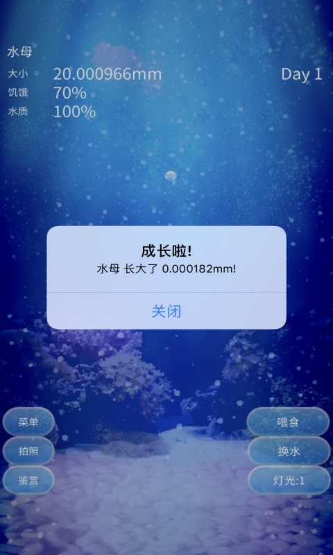 养育水母的治愈手机最新版图5