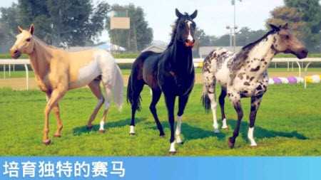 奔跑的马图2