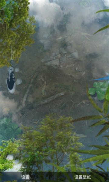 鱼池 图3