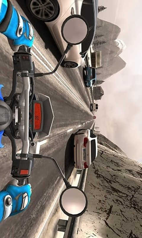 公路骑手Traffic Rider图4