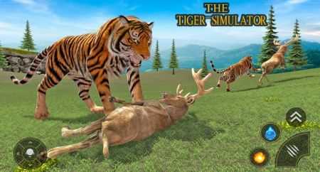 老虎家族生存模拟器（Tiger Family Simulator）图3