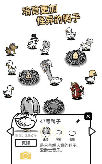 鸭星团(4)