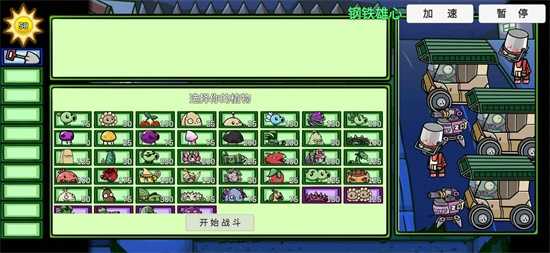 pvzbt美人樱(1)